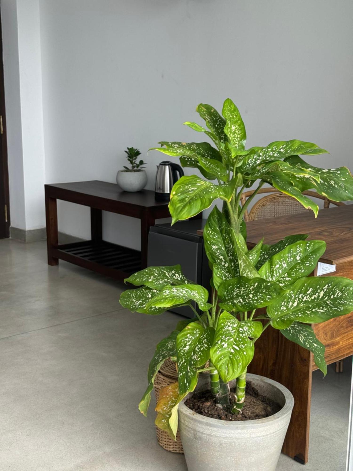 Sapiens Home - Weligama Bay Екстериор снимка