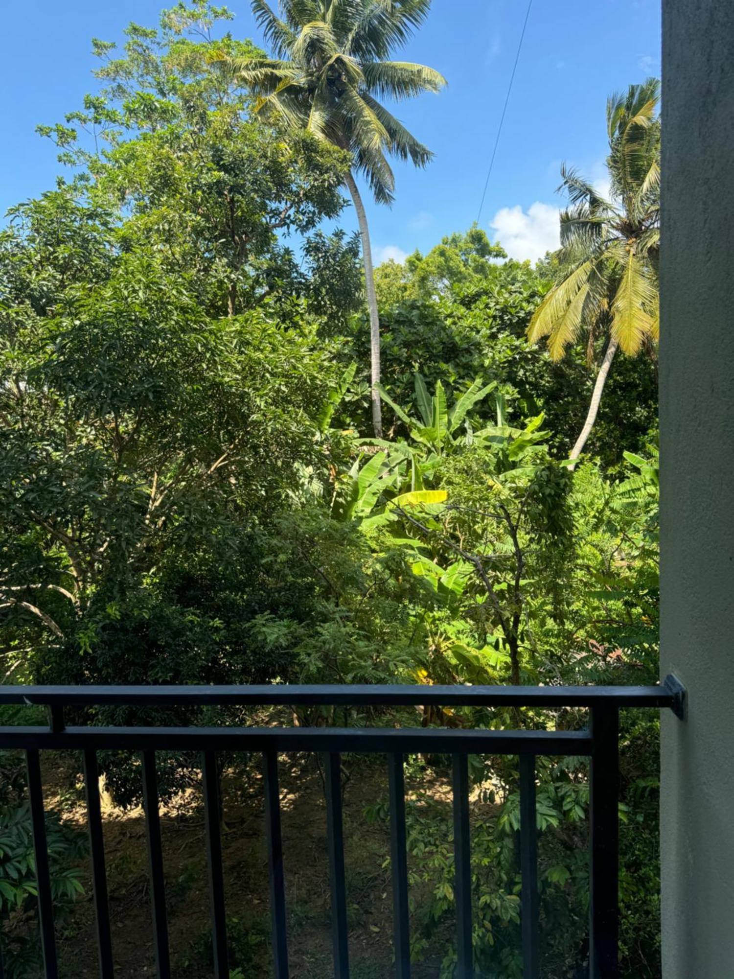 Sapiens Home - Weligama Bay Екстериор снимка