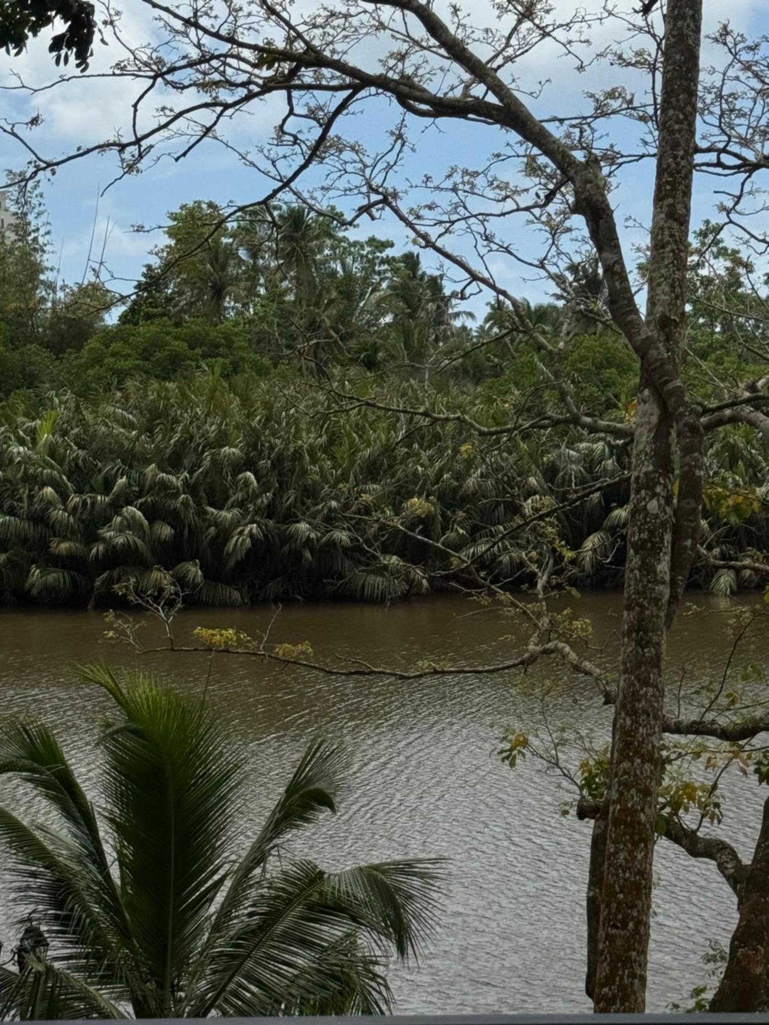 Sapiens Home - Weligama Bay Екстериор снимка